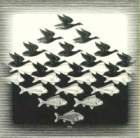 escher16.jpg