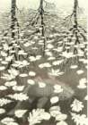 escher17.jpg
